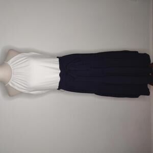 NWT DKNY Women's Ivory/Navy Dress Size 4